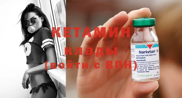 стаф Аркадак