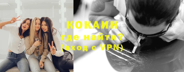 стаф Аркадак