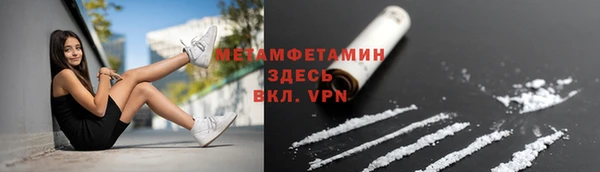 стаф Аркадак