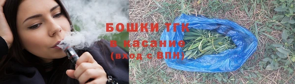 стаф Аркадак