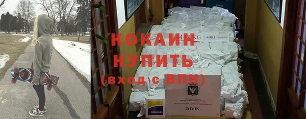 стаф Аркадак