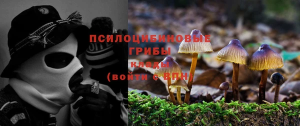 метадон Арсеньев