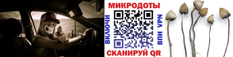 как найти наркотики  Озёры  Псилоцибиновые грибы мухоморы 